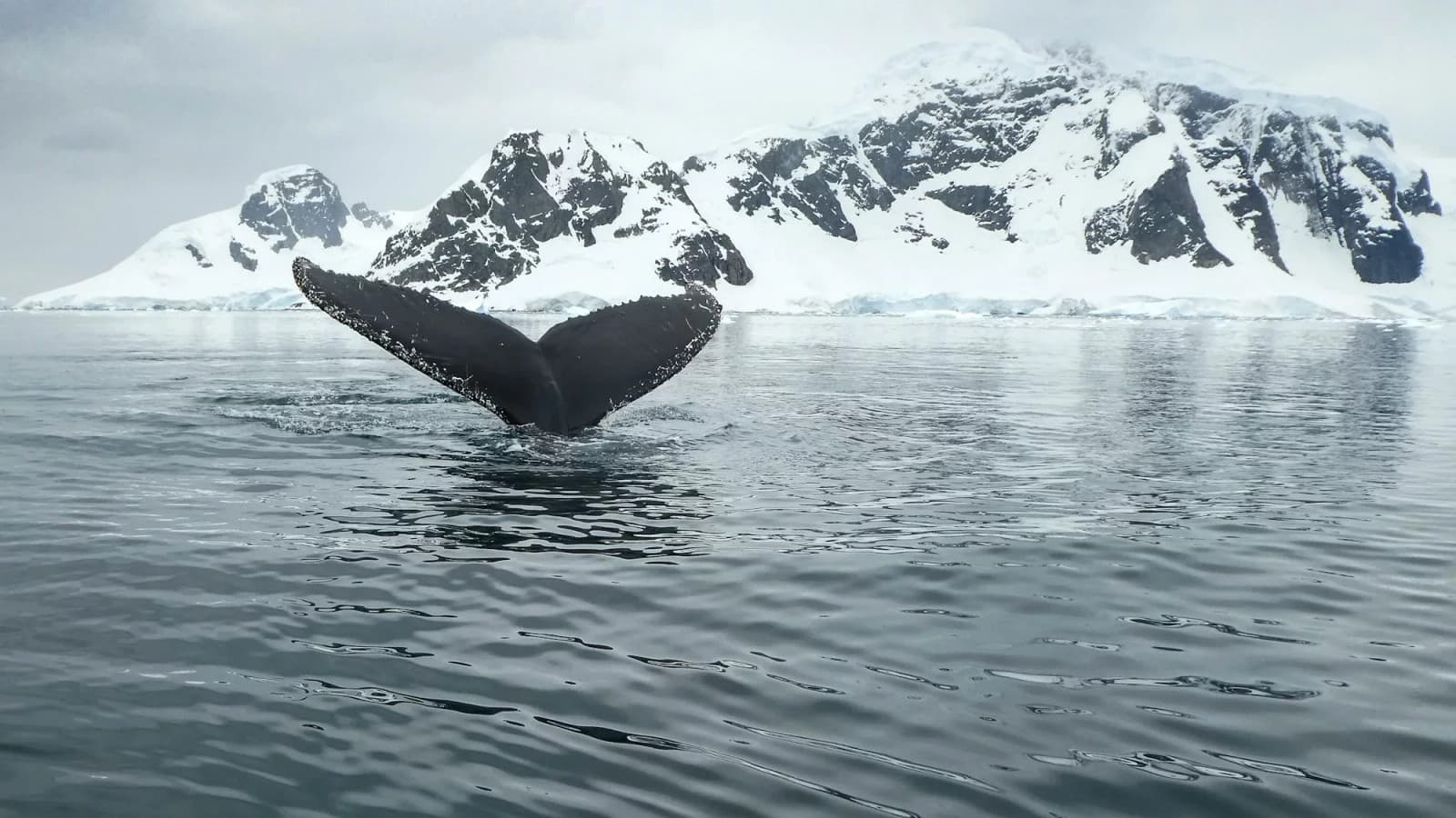 5 Signs You Might Be Disconnected From Nature (And What the Research Shows)